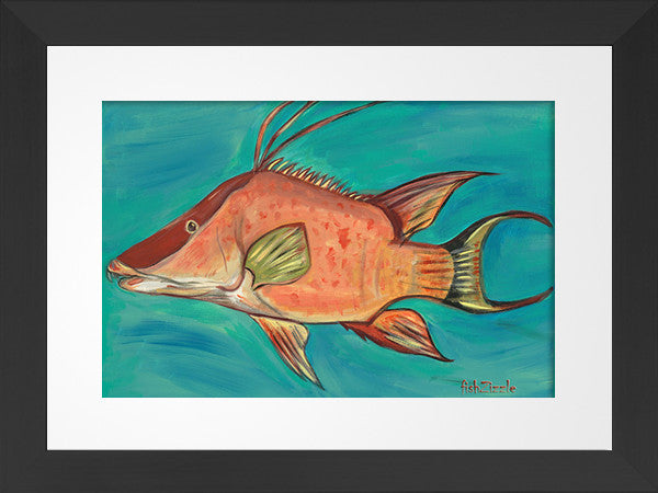 Hog Fish Art Framed - FishZizzle