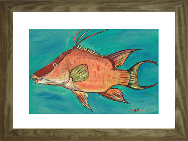 Hog Fish Art Framed - FishZizzle